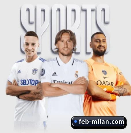 米兰体育围绕看球场景设计的核心服务(MilanSports)